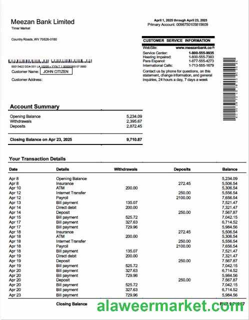 Pakistan Meezan Bank Limited account statement Word and PDF template